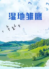 湿地雏鹰