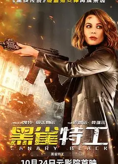 黑雀特工