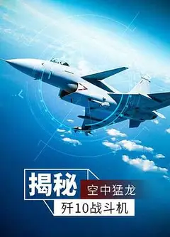 空中猛龙