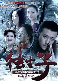 独生子 (2013)