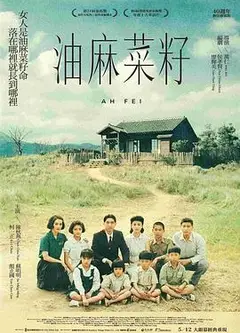 油麻菜籽