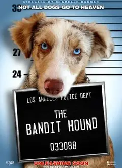 猎犬强盗英文版