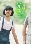 光合一加一