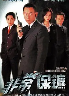 非常保镖国语