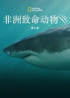 非洲致命动物第七季