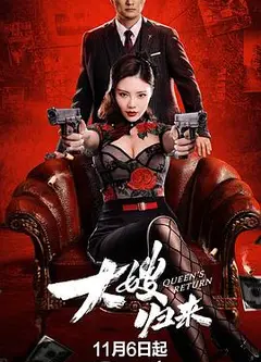 大嫂归来