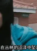 我的歌