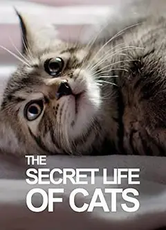 BBC地平线：猫的秘密生活