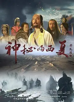 神秘的西夏