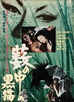 黑猫