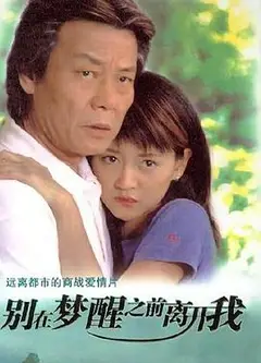 别在梦醒之前离开我