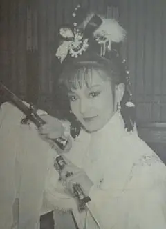 圣剑飞鹰