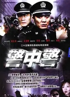 警中警