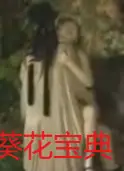 葵花宝典