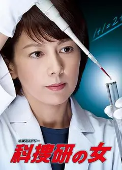 科搜研之女第14季