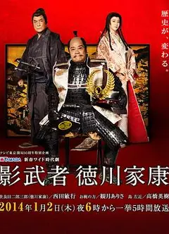 影武者德川家康
