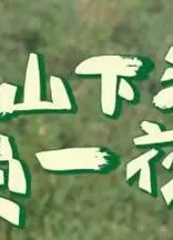 上山下海过一夜