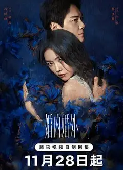 婚内婚外