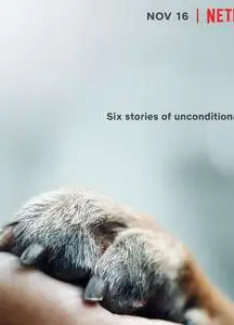 爱犬情深