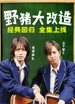 野猪大改造