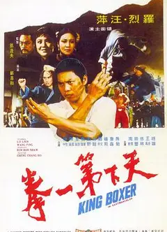 天下第一拳