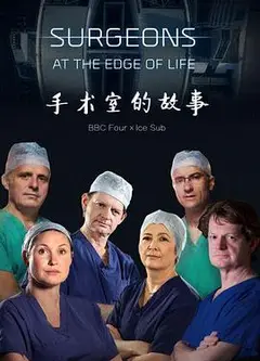 外科医生：生命边缘 第二季