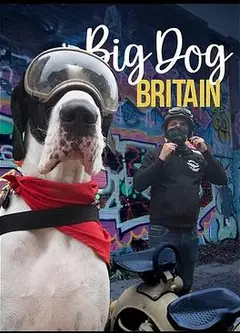 英伦巨犬粤语