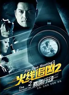 火线追凶2之鹈鹕行动