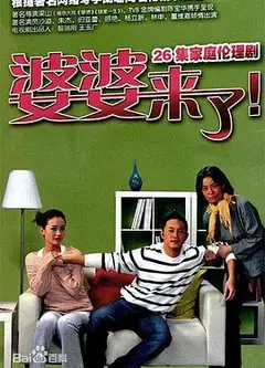 婆婆来了