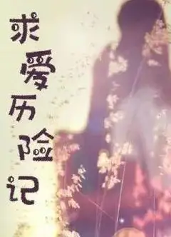 求爱历险记
