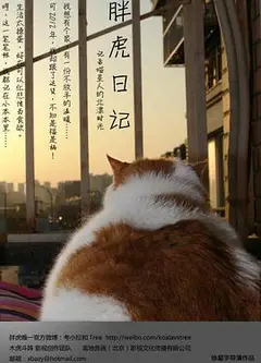 胖虎日记