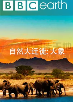 自然大迁徙