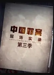 罪案现场实录第三季