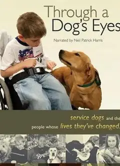 协助犬的故事