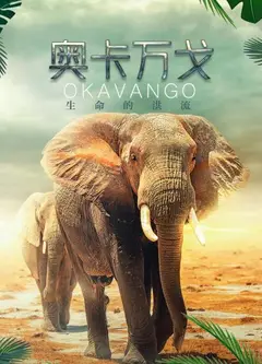 奥卡万戈：生命的洪流