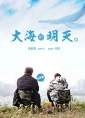 大海的明天