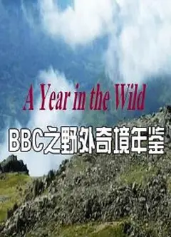 野外奇境年鉴