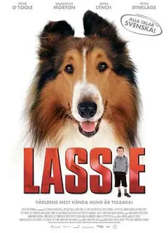 新灵犬莱西