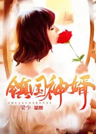 镇国神婿
