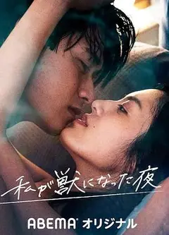 我放纵情欲的夜晚