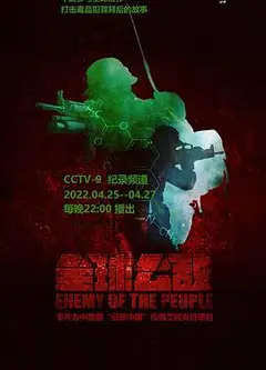 全球公敌