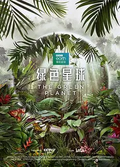 绿色星球