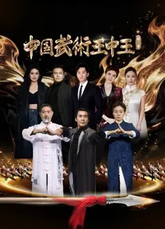 中国武术王中王 第二季