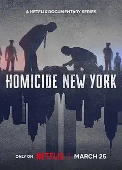 凶杀重案实录：纽约第二季