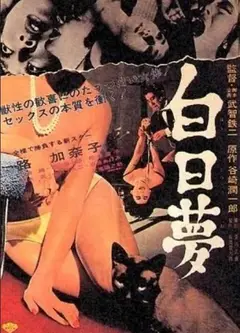 白日夢