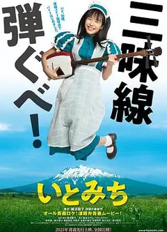 琴茧