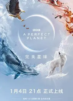 完美星球（英语）
