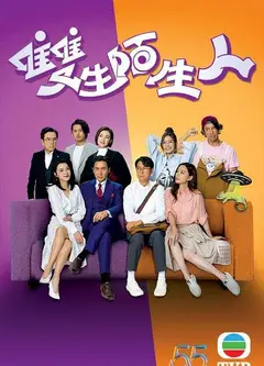 双生陌生人（国)