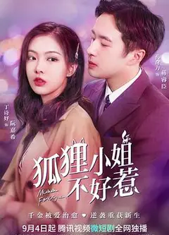 狐狸小姐不好惹