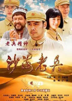 沙海老兵